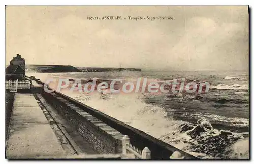 Cartes postales Asnelles Tempete Septembre 1904