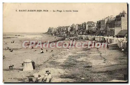 Cartes postales Saint Aubin sur Mer la plage a Maree Basse