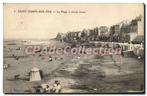 Ansichtskarte AK Saint Aubin sur mer la plage a Maree basse