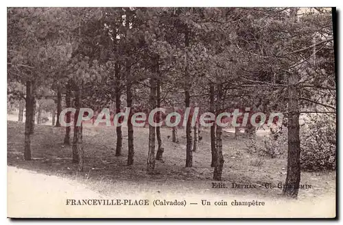 Ansichtskarte AK Franceville Plage Calvados un coin Champetre