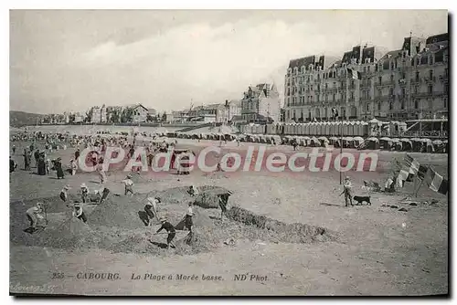 Cartes postales Cabourg la plage a Maree basse