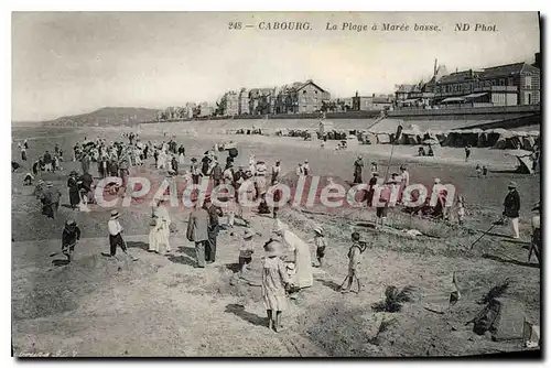 Cartes postales Cabourg la plage a Maree basse