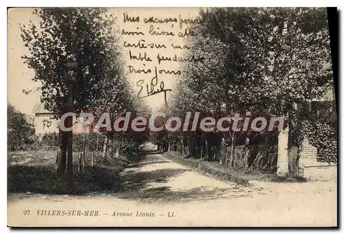 Cartes postales Villers sur Mer Avenue Leonie