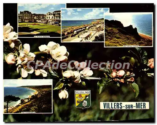 Cartes postales moderne Villers sur mer La plage Mermoz La plage les Vaches Boures vue d'ensemble