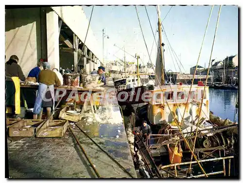 Cartes postales moderne Port en Bassin Calvados tri du poisson