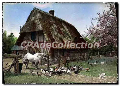 Cartes postales moderne La Normandie toute la Ferme