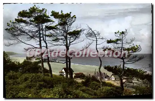 Cartes postales moderne Blonville sur mer Calvados la cote a travers les pins