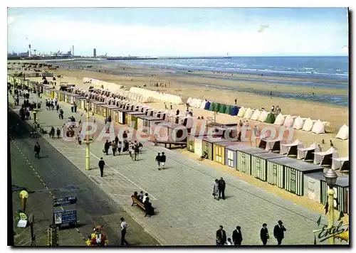 Cartes postales moderne Malo les Bains Nord La digue