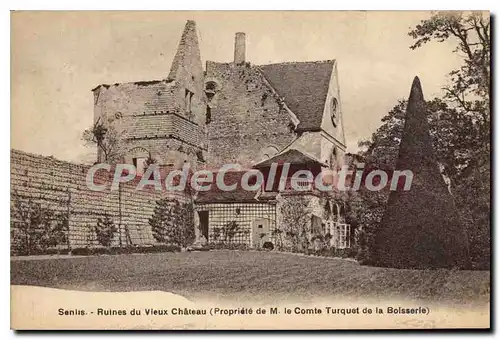 Cartes postales Senlis Ruines du Vieux Chateau