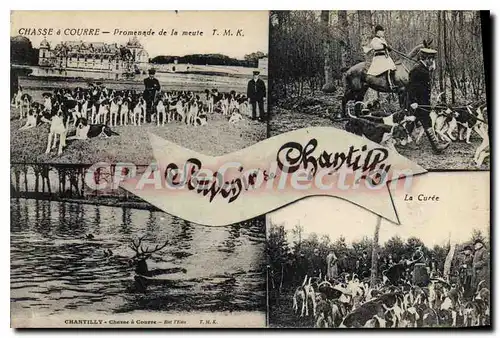 Cartes postales Chasse a courre Promenade de la meute TMK