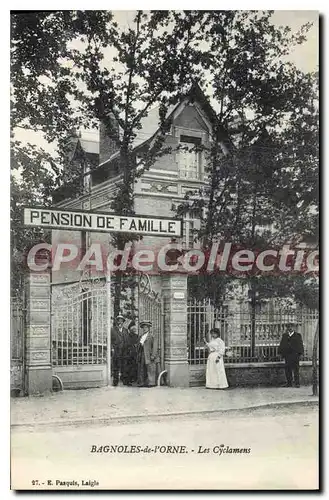 Cartes postales Bagloes de l'orne les Cyclamens