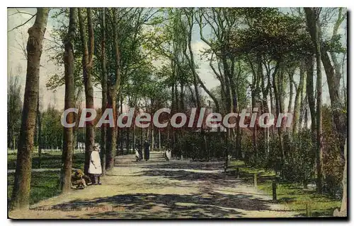 Cartes postales Calais une all�e du parc