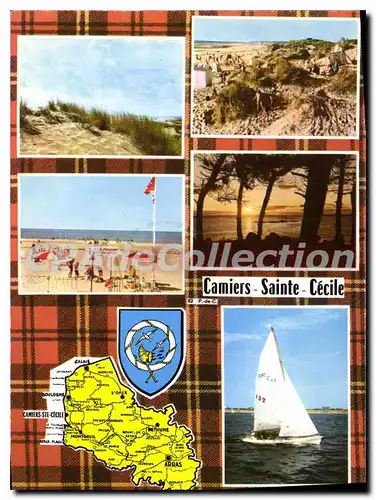 Cartes postales moderne Camiers Sainte Cecile