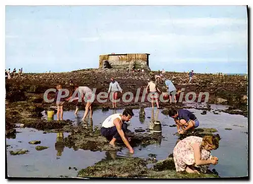 Cartes postales moderne Le Portel Pas de Calais le Fort de l'Heurt Peche dans les Rochers