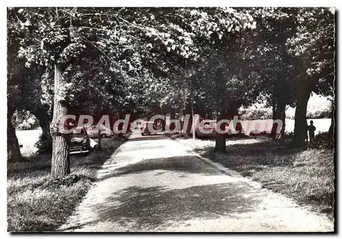 Cartes postales moderne Ardes Pas de calais Avenue du Lac