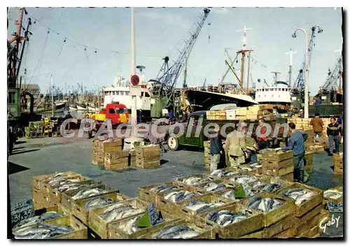 Cartes postales moderne Boulogne P de C Debarquement du poisson