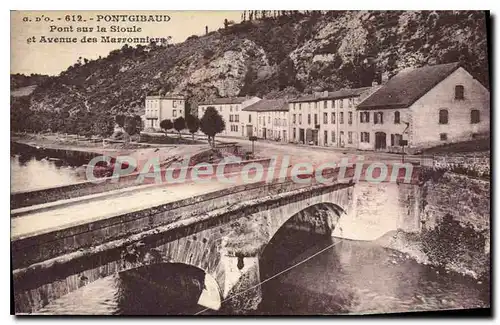 Cartes postales Pontgibaud pont sur la Sioule et avenue des Marronniers