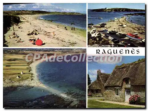 Cartes postales moderne Raguenes La Bretagne Pittoresque De Pont Aven a Tregunc par la Cote Raguenes en Nevez La Grande