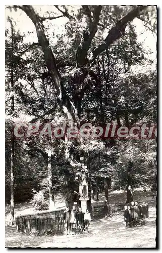 Ansichtskarte AK Chaville Le Chene de la Vierge