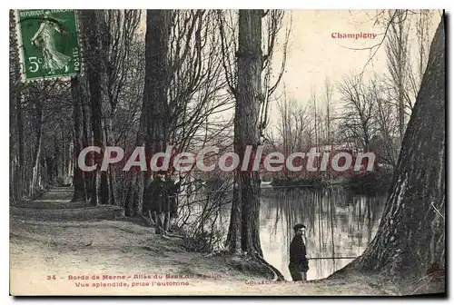 Cartes postales Champigny Vords de Merne Allee du Bras du Moulin