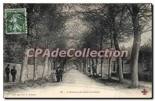 Cartes postales L'Avenue de Chennevieres