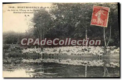 Cartes postales Montmorency Au bord de l'Etang de la Chasse Moutons s'abreuvant