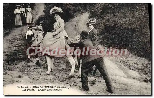 Cartes postales Montmorency La foret L'Ane recalcitrant