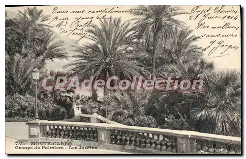 Cartes postales Monte Carlo Groupe de Palmiers Les Jardins