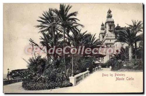 Cartes postales Dans les Palmiers Monte Carlo