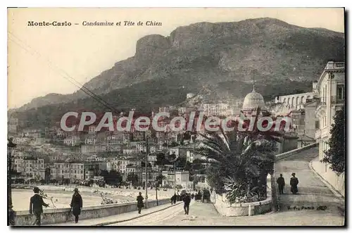 Cartes postales Monte Carlo Condamine et Tete de chien