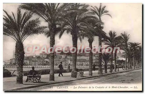 Cartes postales Cannes Les Palmiers de la Croisette et le Mont Chevalier