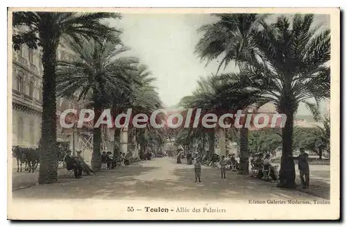 Cartes postales Toulon Allee des Palmiers