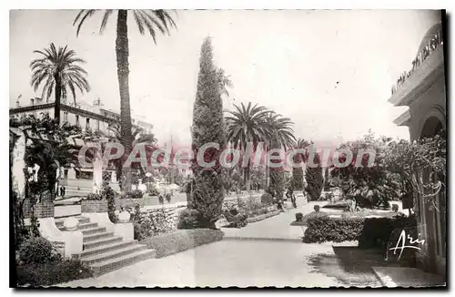 Cartes postales Hyeres Les Palmiers Les Jardins du Musee