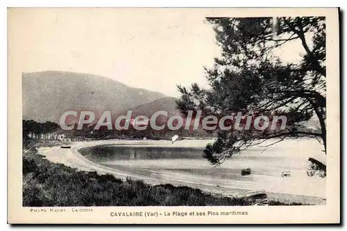 Cartes postales Cavalaire La Plage et ses pins maritimes