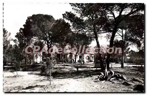 Cartes postales Les Auberges au Soleil Boulouris Var