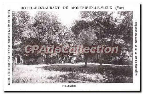 Cartes postales Hotel Restaurant de Montrieux le Vieux Var pelouse