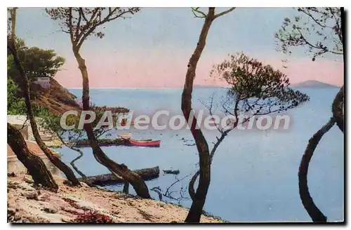 Cartes postales Sanary Var Les Pins La Gorguette