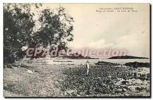 Cartes postales Cote d'Azur Saint Raphael Plage du Corail Le Lion de Terre