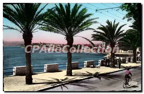Cartes postales Toulon Mourillon Le Boulevard du Littoral