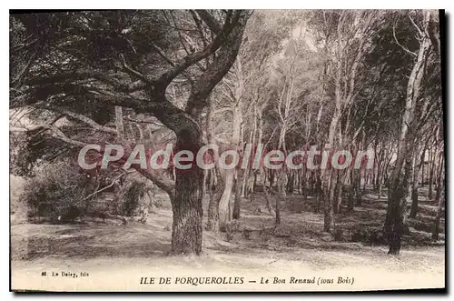 Cartes postales Ile de Porquerolles le bon Renaud sous Bois