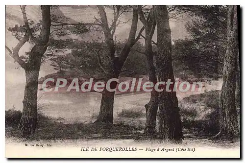 Cartes postales Ile de Porquerolles Plage d'Argent cote est