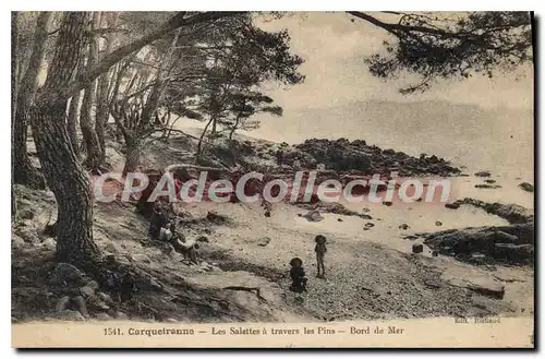 Cartes postales Carqueiranne Les Salettes a travers les Pins Bors de Mer