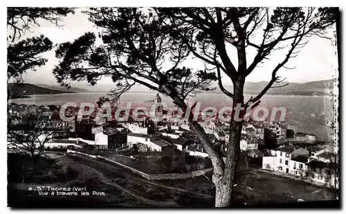 Cartes postales Saint Tropez Var Vue a travers les Pins