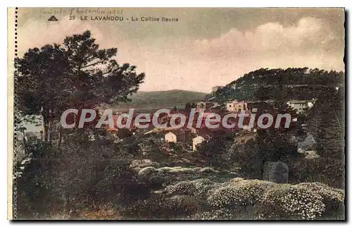 Cartes postales Le Lavandou La Colline fleurie