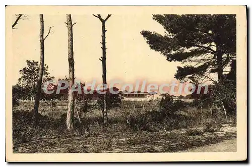 Cartes postales Hyeres Hippodrome de la Plage et ses pins magnifiques