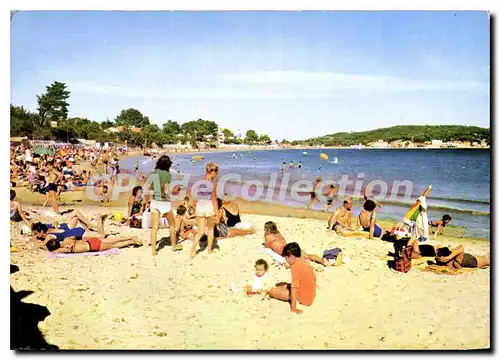 Cartes postales moderne Mar Vivo Au fond les Sablettes