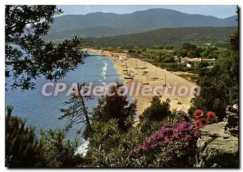 Moderne Karte Paysage tipique en bord de Mediterranee Croix Valmer Var La plage de la Croix