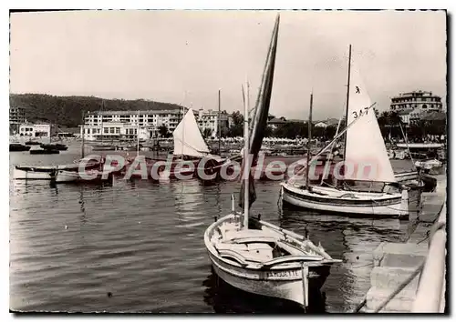 Cartes postales moderne La Cote d'Azur Ste Maxime sur Mer Le Port