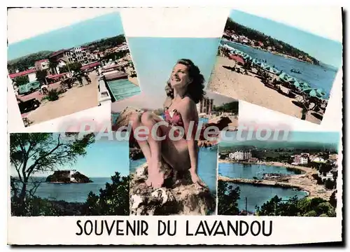 Cartes postales moderne Le Lavandou Var