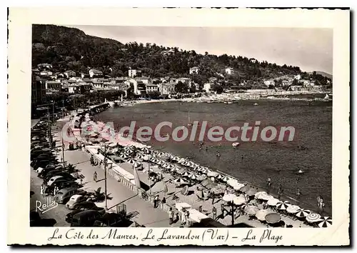 Cartes postales moderne La Cote des Maures Le Lavandou Var La Plage